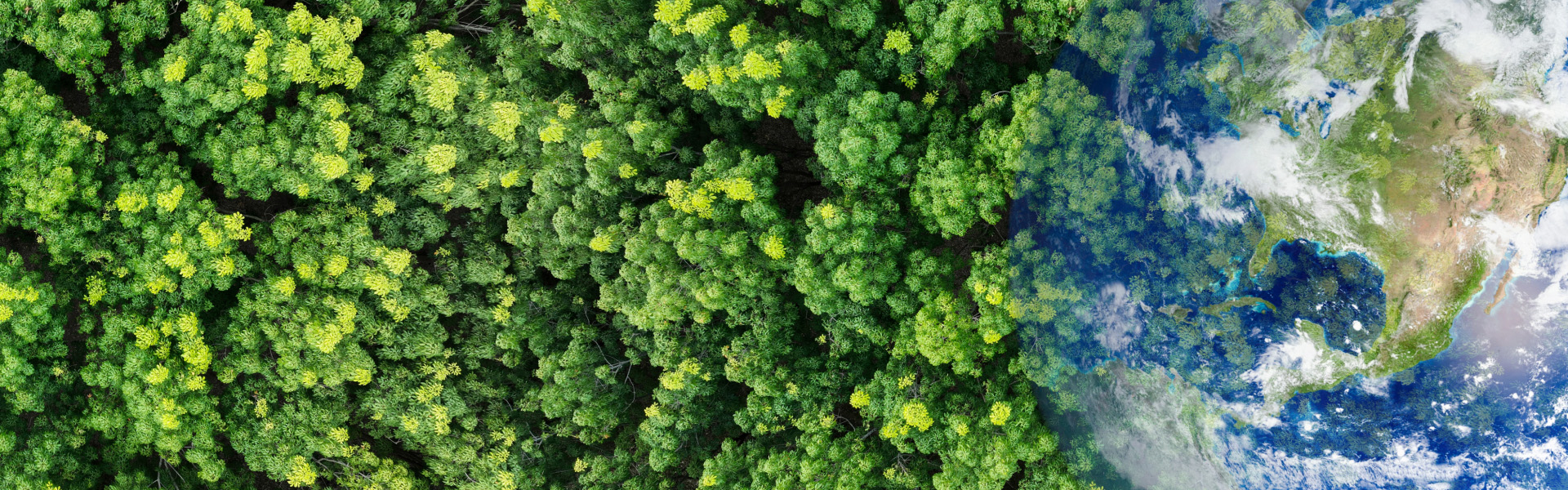 再生粒子产品案例